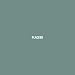 Covers [Vinyl LP]