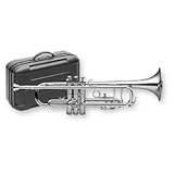 Détails sur le produit