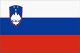 Slovenia Flag Polyester 3 ft. x 5 ft.
