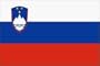 Slovenia Flag 3X5 Foot Nylon PH
