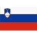 Slovenia Flag 3X5 Foot Nylon PH