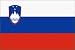 Slovenia Flag Polyester 3 ft. x 5 ft.