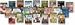 Magic Tree House -- Set of 32 Books vol. 1-28 + 33-36 (Magic Tree House series, Mega pack of 32 volumes)