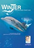 Winter, The Dolphin That Can