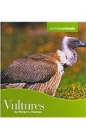 Vultures (Animals Animals)