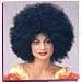 Std Size Adult Groovy 60s Costume Black Afro Wig - Economy Choice