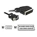 DELOCK Kabel Video Scart Ausgang -> VGA Eingang