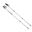 Black Diamond Syncro Elliptic Trekking Poles (Pair) - Bright Lichen - Discontinued
