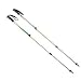Black Diamond Syncro Elliptic Trekking Poles (Pair) - Bright Lichen - Discontinued