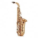 Yanagisawa Model A-9930 Silver Series Alto Sax
