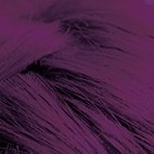 Flash Fashion Plum 4.16 Ounces