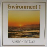 Environment 1