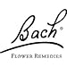 Pet Rescue Remedy 10 ml by Bach Flower Remedies