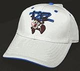 Looney Tunes Tasmania TAZ Hat Cap for Toddlers Kids