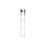 Black Diamond Spire Elliptic Trekking Poles (Burnt Orange) - Discontinued