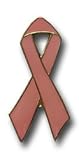 Breast Cancer Awareness Pink Ribbon - Other Lapel Pins Breast Cancer Awareness Pink Ribbon - Other Lapel Pins