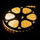 6 foot section of Yellow 12 volt 1/2 inch led rope light