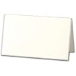 100 Silver Bordered Pearl White Place Cards