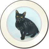 BOMBAY BLACK KITTEN-CAT Tax Disc Holder