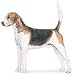Sheet of 21 Personalised Glossy Stickers or Labels Foxhound English