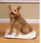 PetSafe Heated Pet Pad (Medium)