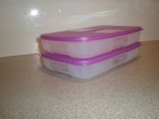 Tupperware Freezer Mate (Set of 2) 1lb or 2 1/4 cup