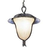 Kalco Lighting 9188AB VINE OUTDOOR LARGE HANGING LANTERN - AGED BRONZE FINISH - B000UB76GK