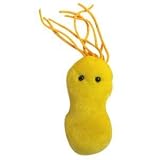 ULCER (HELICOBACTER PYLORI) GIANT MICROBE PLUSH [Toy]