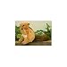 Stuffed Animals 6