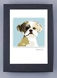 Paper Russells PAGBC489 Grrreen Boxed 6 Note Cards - Shihtzu Head SHot