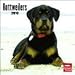 Rottweilers 2010 Wall Calendar 12 X 12