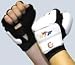 Sports : TKD - Handschutz mit WTF-Zulassung