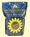 Black Oil Sunflower 17#