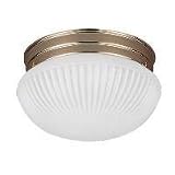 Sea Gull 5940-33 Ceiling Light Polished Brass Diameter: 9 1/2