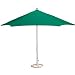 Outdoor Living : Green Lighted Market Umbrella