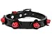 Chromebones Elegant Rose Leather Dog Lead (4 ft. long, 1" wide)