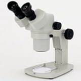 �J�[�g�� �Y�[�����̌����� DSZ-44 10�{�`44�{