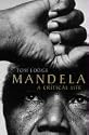 Mandela: A Critical Life