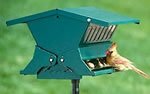 Squirrel Proof Bird Feeder, The Best Double-Sided