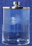 Individually Hand Etched Glass Dragonfly Canister 5"H