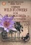 Common wild flowers of the Okavango Delta: Medicinal uses and nutritional value (Shell field guide series)