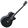 Washburn Festival Series Acoustic