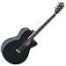 EA16 Acoustic Electric Guitar Natural