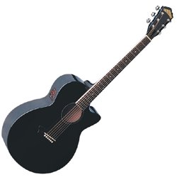 MusicalInstruments: Washburn Festival Series Acoustic