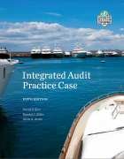 INTEGRATED AUDIT PRACT.CASE-PK