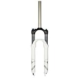 ROCK SHOX Recon Silver TK SoloAir 100mm Blanc/Argent Fourche Vélo de montagne suspendu
