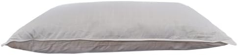 Exhilarate Micro Denier Fiber Pillow, Jumbo Size