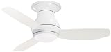 Emerson CF144WW Curva Sky Indoor/Outdoor Ceiling Fan, 44-Inch Blade Span, Appliance White Finish and All-Weather Appliance White Blades