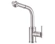 Danze D404558SS Parma One-Handle Kitchen Faucet with Pull-Out Spray Stainless St