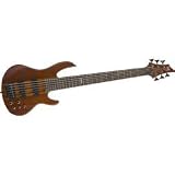 ESP LTD